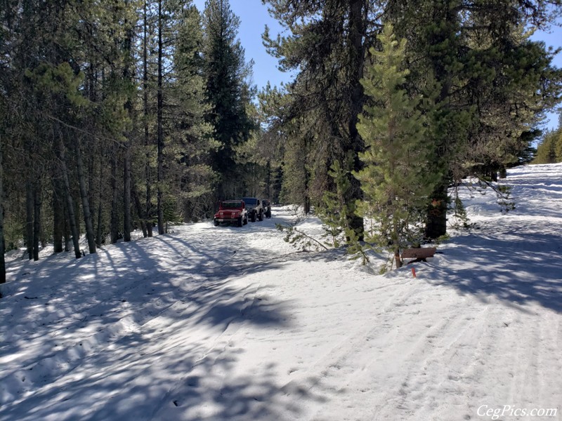 Naneum Ridge State Forest