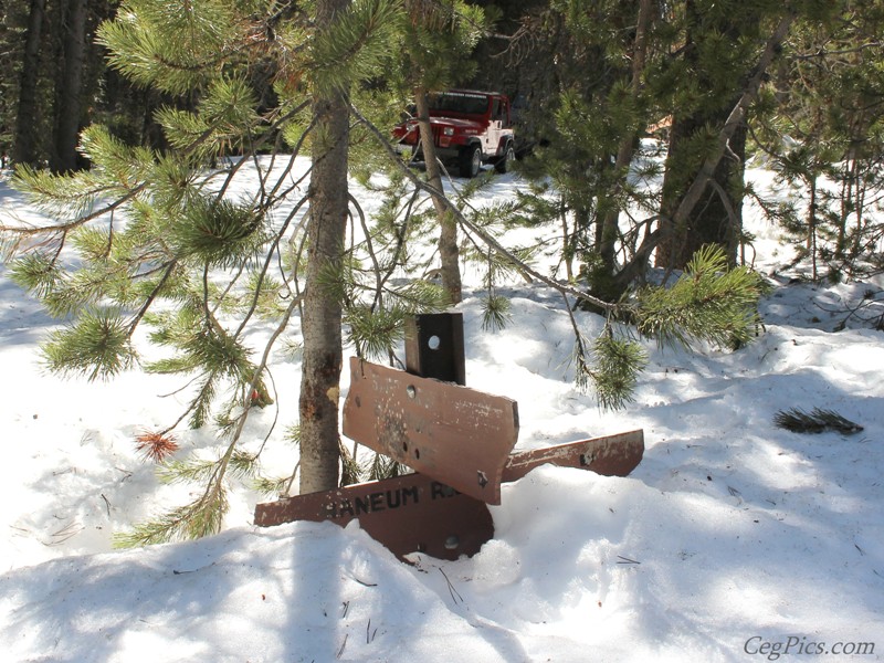 Naneum Ridge State Forest