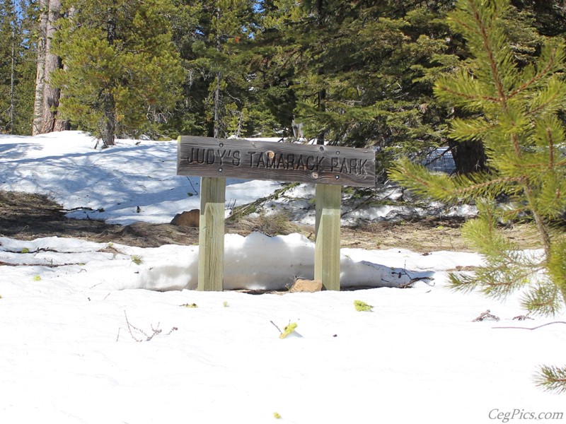 Naneum Ridge State Forest