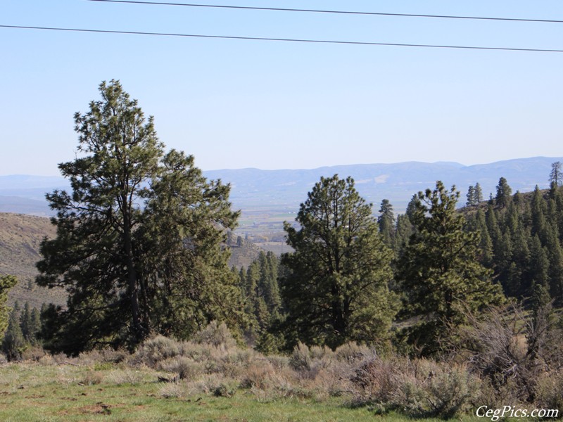 Naneum Ridge State Forest