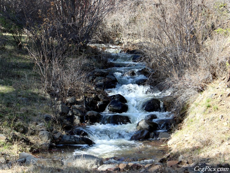 Naneum Ridge State Forest