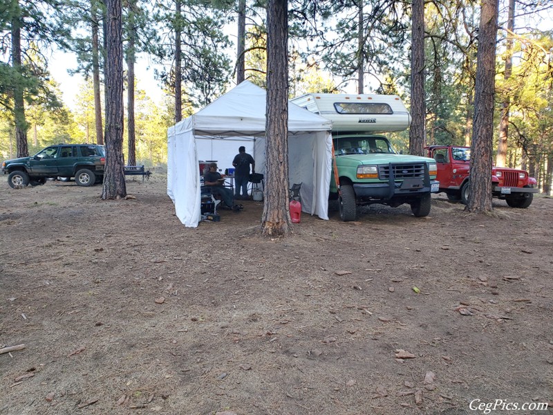 Naneum Ridge State Forest