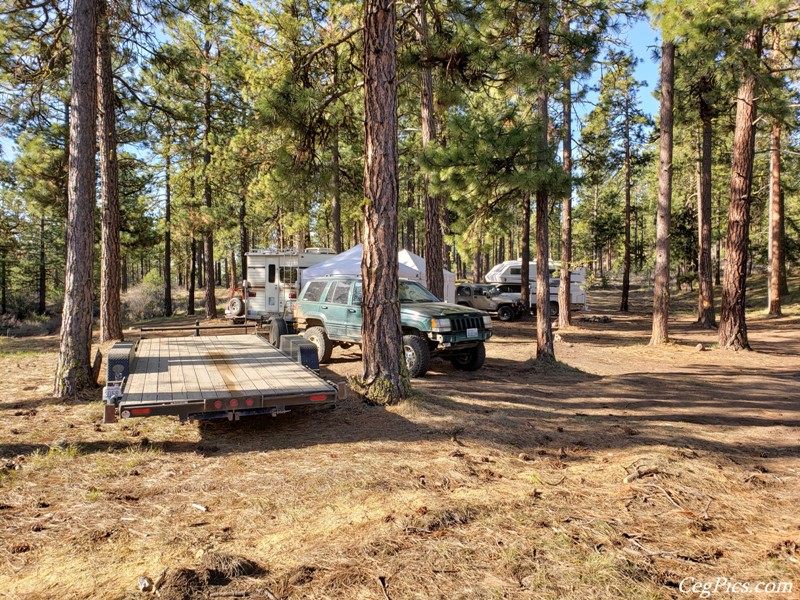 Naneum Ridge State Forest