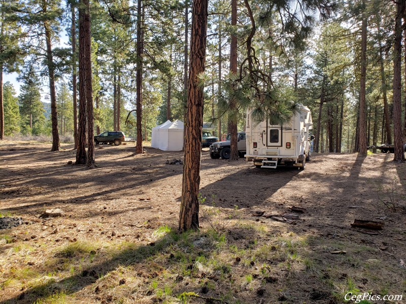 Naneum Ridge State Forest