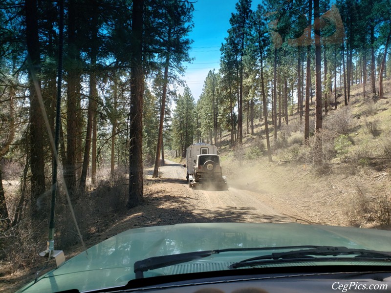 Naneum Ridge State Forest