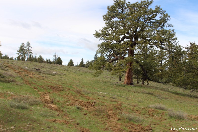 Oak Creek Wildlife Area