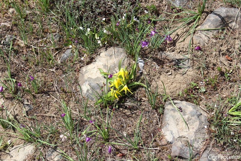 Oak Creek Wildlife Area