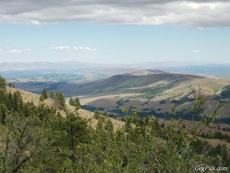 Ahtanum State Forest