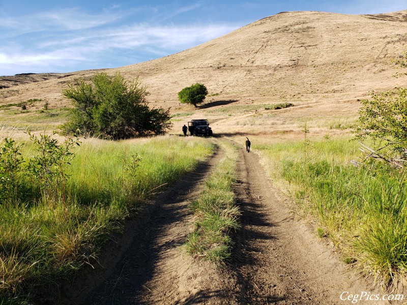 Colockum Wildlife Area