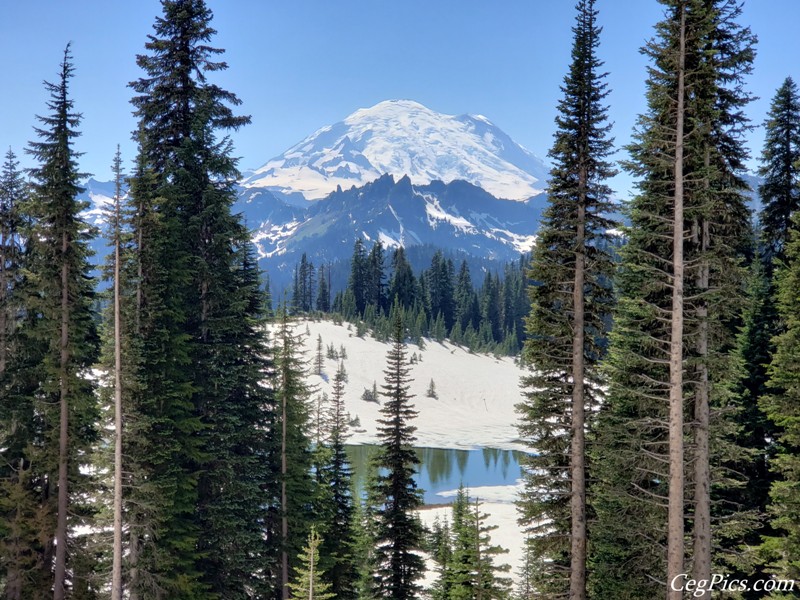 Mount Rainier