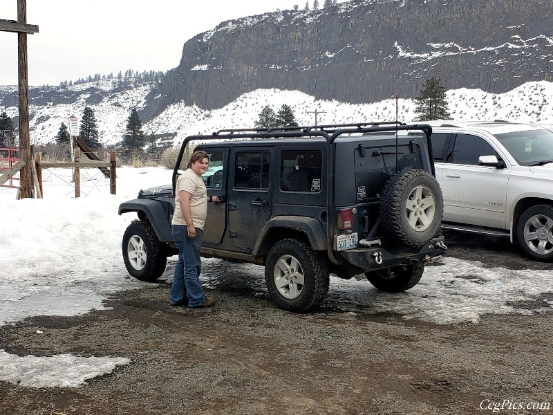 elk Feeding