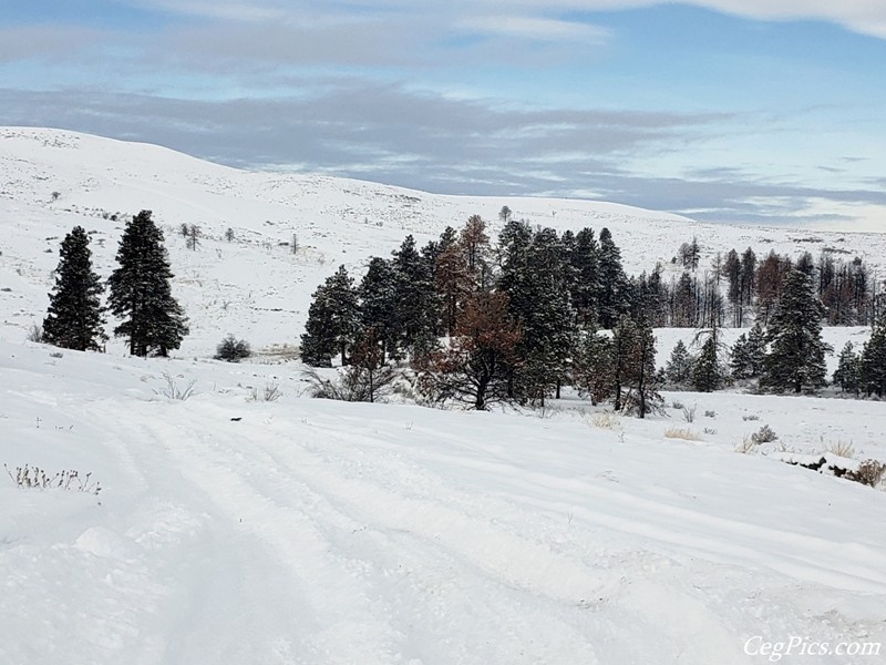 Snow Wheeling