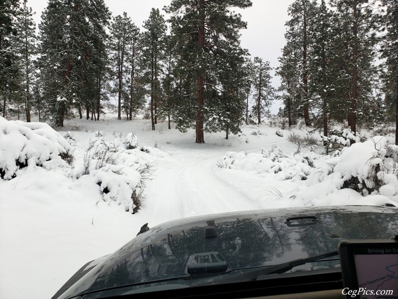 Snow Wheeling