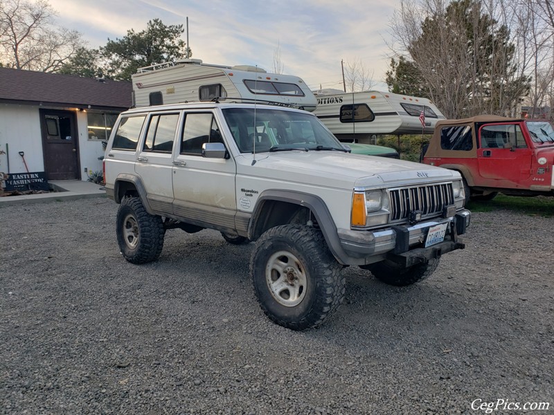 Tweety Jeep