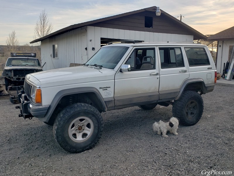 Tweety Jeep