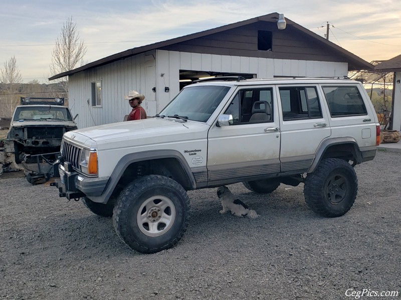 Tweety Jeep