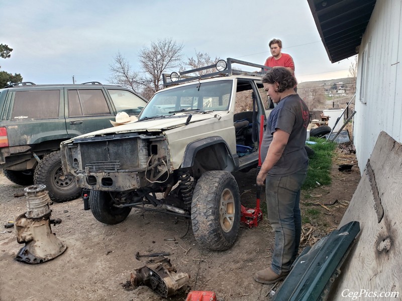 Tweety Jeep