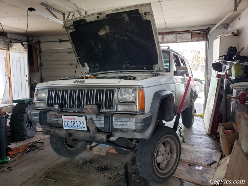 Tweety Jeep