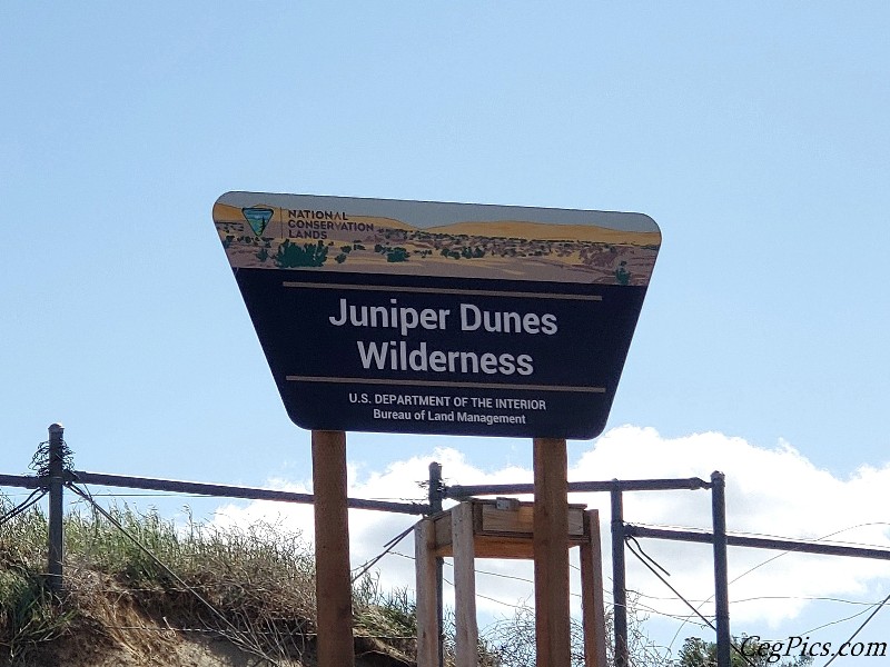 Juniper Dunes