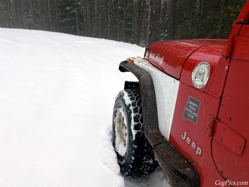 Naneum Ridge State Forest