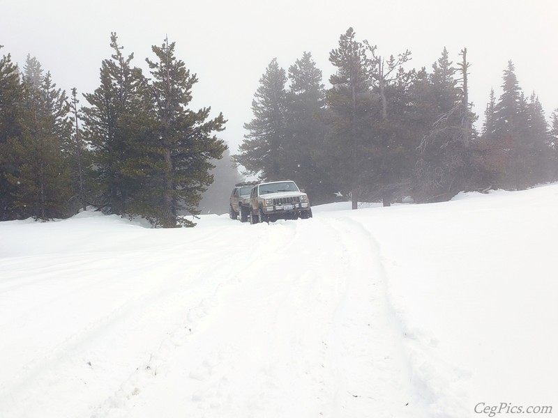 Naneum Ridge State Forest