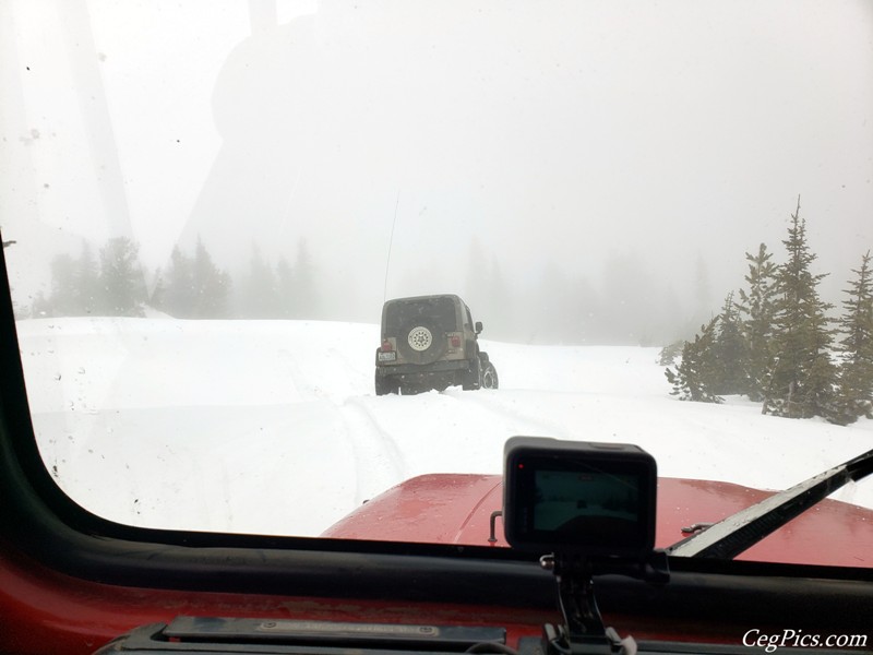 Naneum Ridge State Forest