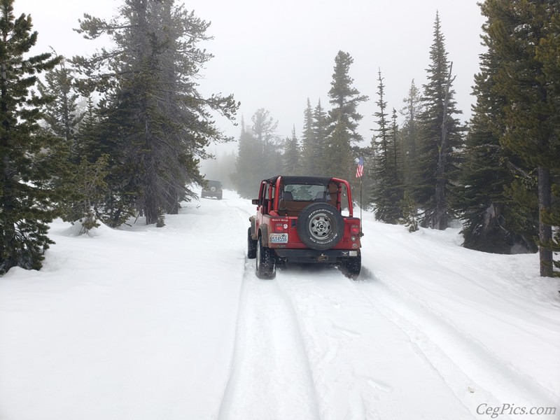 Naneum Ridge State Forest