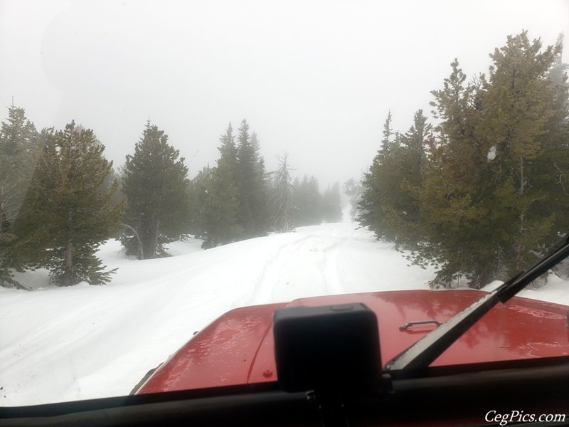 Naneum Ridge State Forest