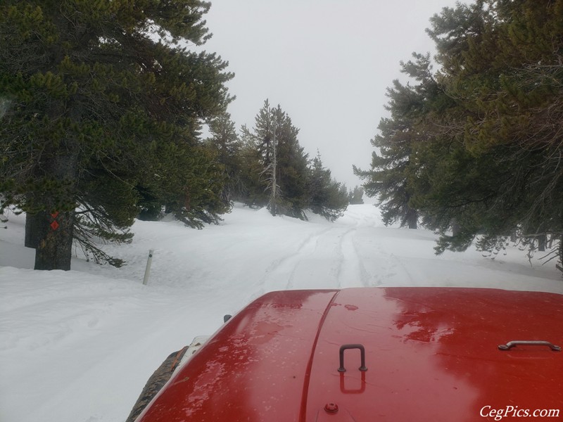 Naneum Ridge State Forest