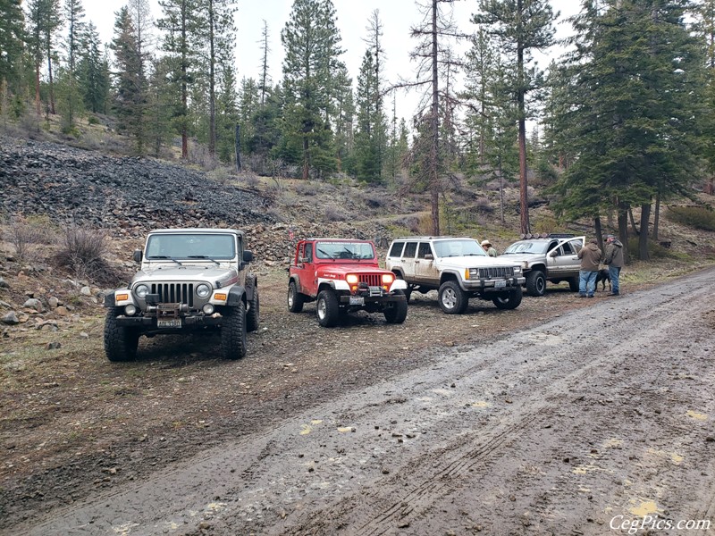 Naneum Ridge State Forest