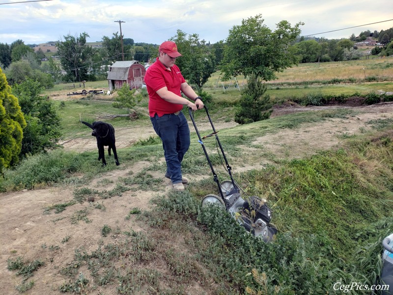 Graham Family Farm