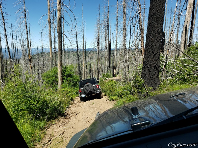 Overlanding