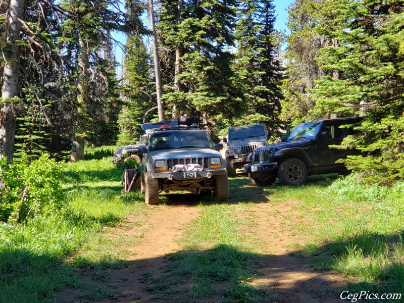 Overlanding