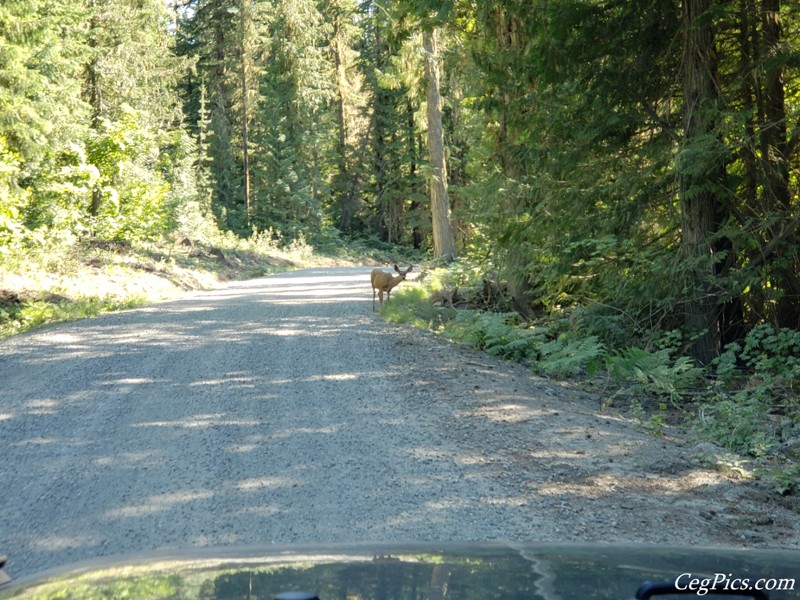 Overlanding