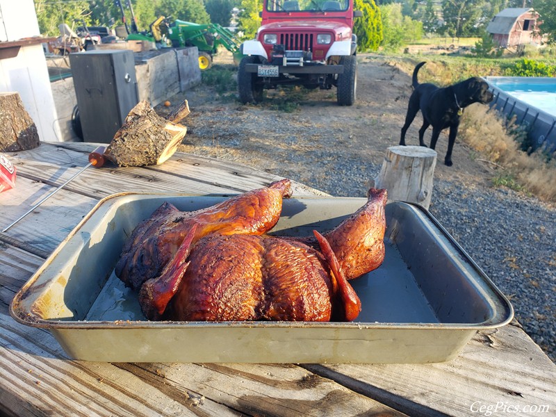 Smoked chicken