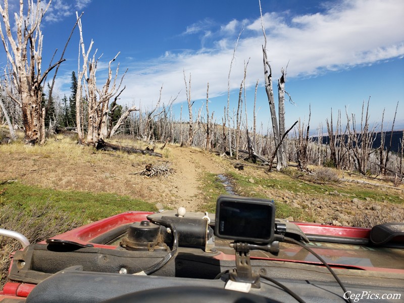 Divide Ridge 4x4 Trip