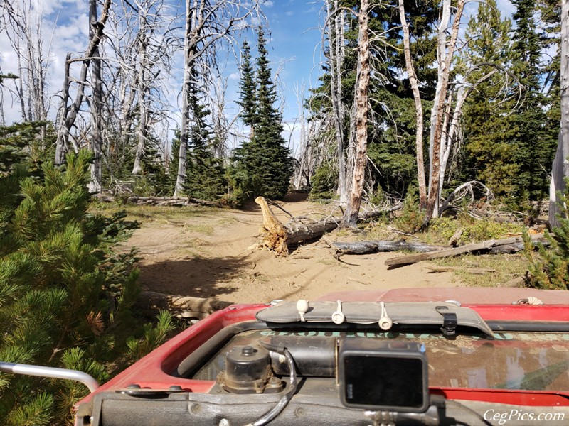 Divide Ridge 4x4 Trip