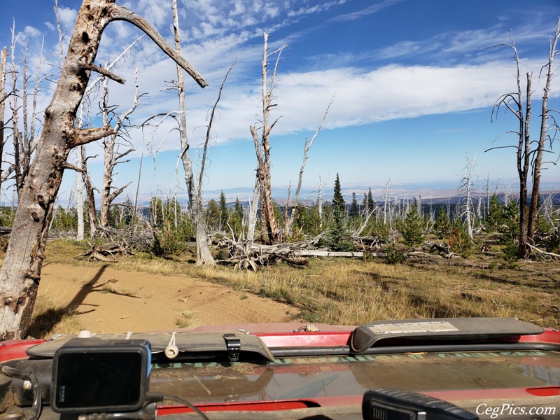 Divide Ridge 4x4 Trip