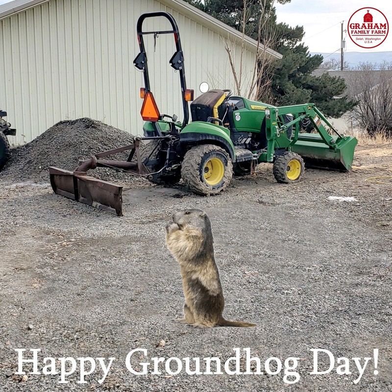 Groundhog Day