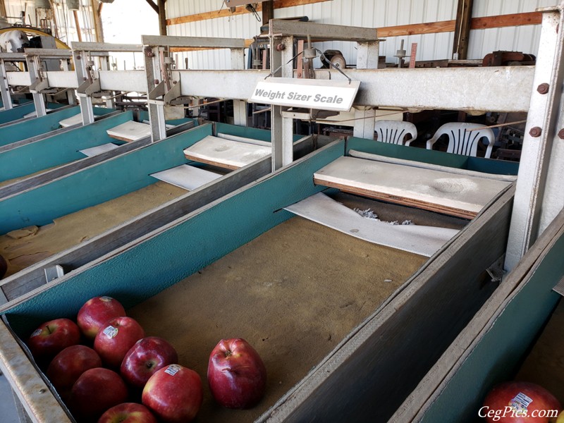 Central Washington Agricultural Museum