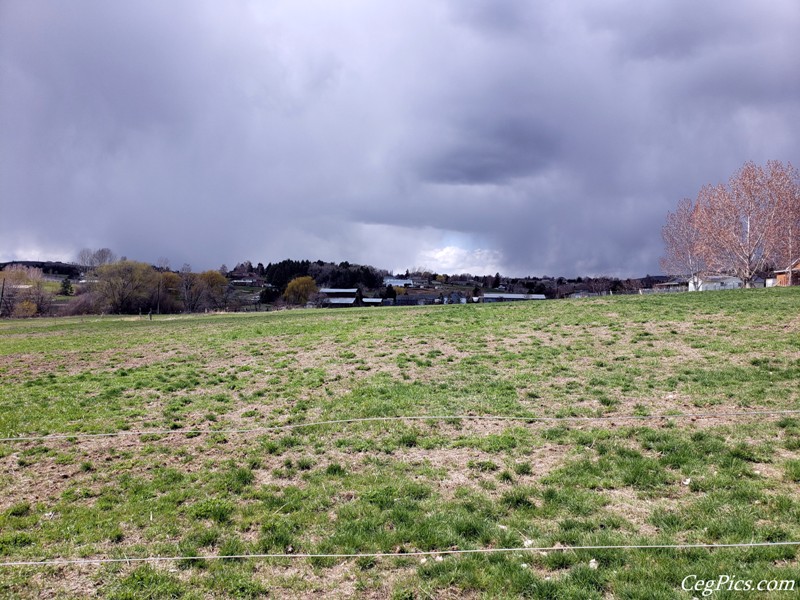 Graham Family Farm