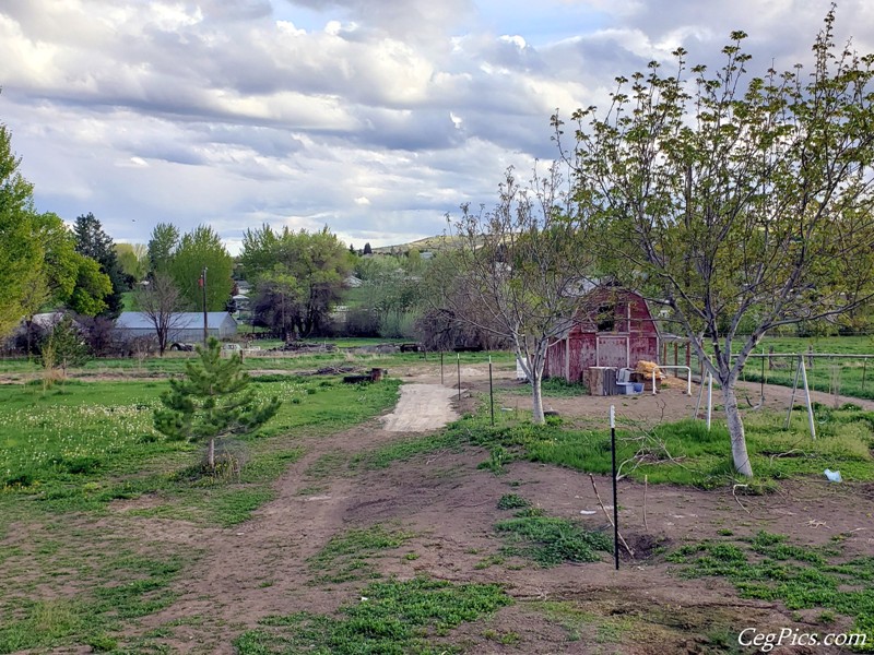 Graham Family Farm