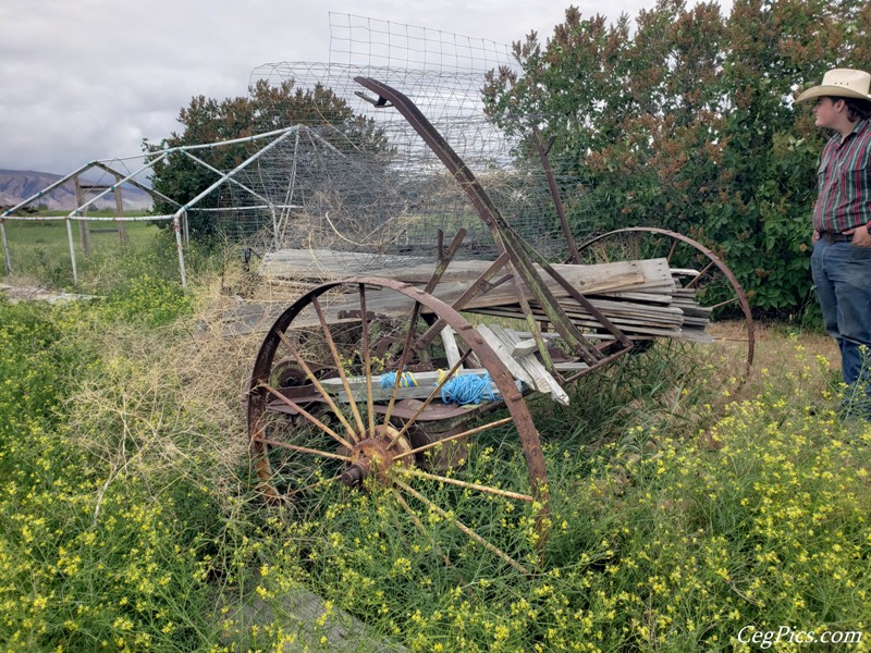 John Deere Side Delivery Rake 594