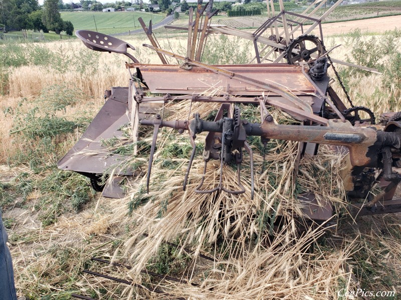 Wheat Binding