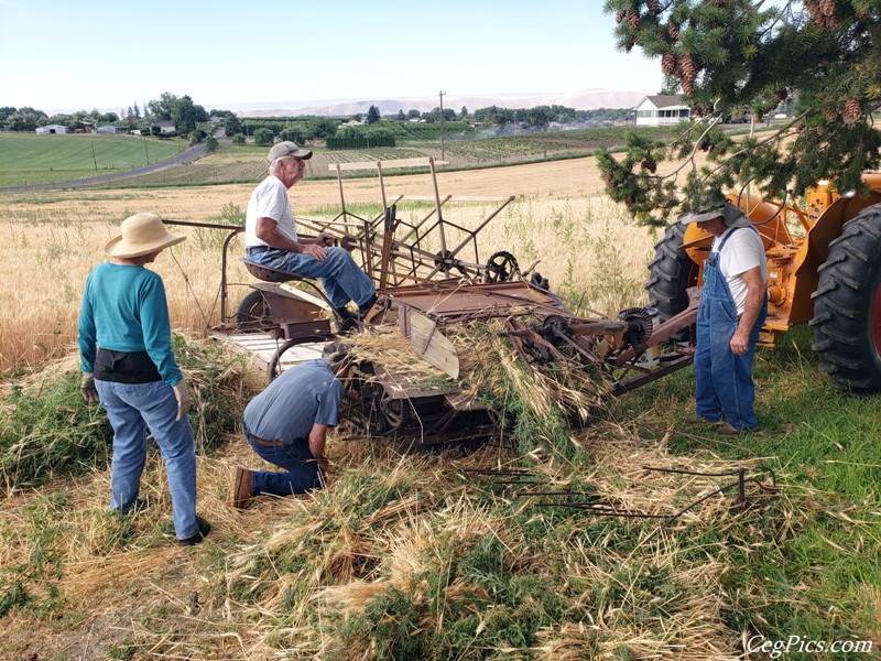 Wheat Binding