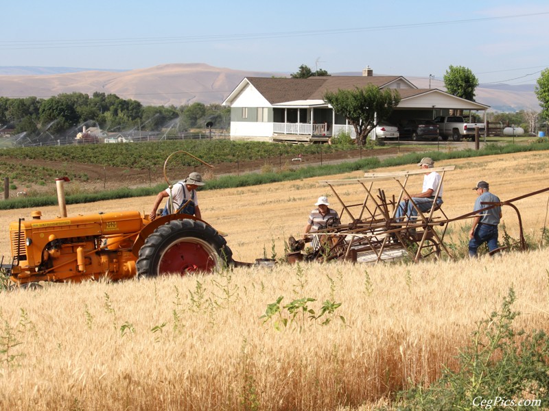 Wheat Binding