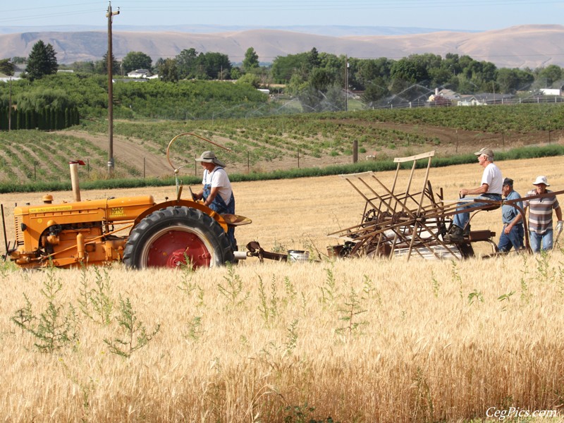 Wheat Binding