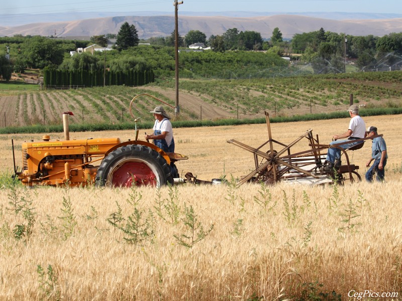 Wheat Binding