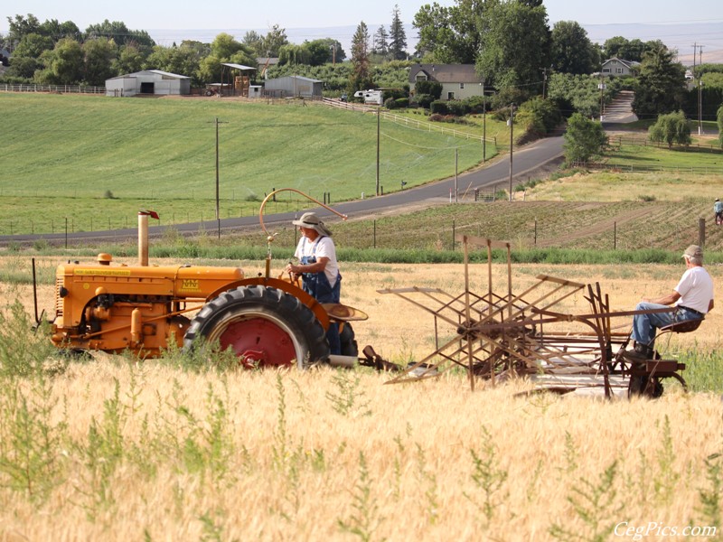 Wheat Binding