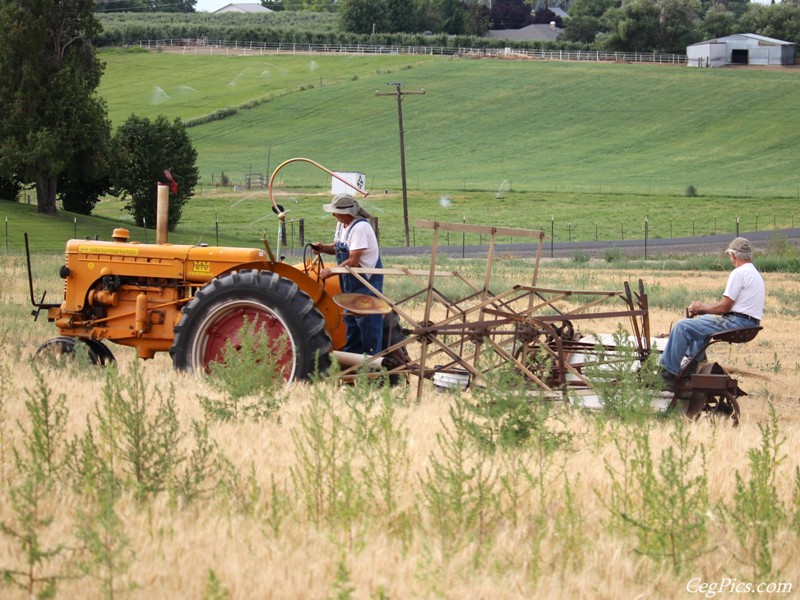 Wheat Binding